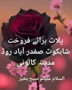 shahkot