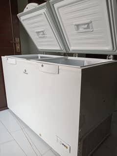 dawlance  freezer