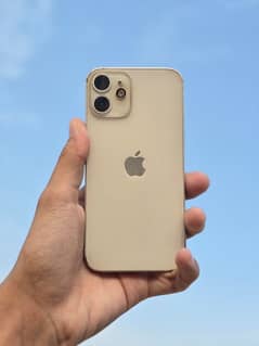 iPhone 12 mini ( exchange possible)