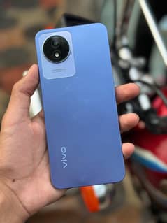 Vivo