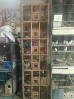wooden cage + iron cage
