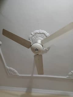 Ceiling