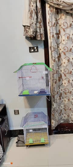 2 new cages nd some Love birds