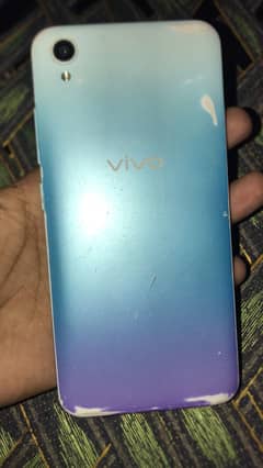 Vivo
