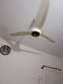 Used