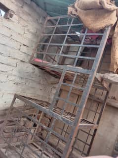 jungla for sale 03221483241