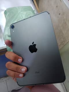 Apple ipad mini 6