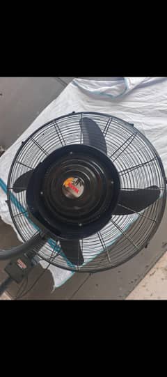 Royal Mist fan