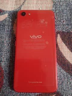 vivo