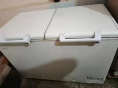 Haier