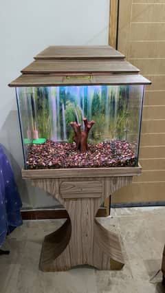 Aquriam for sale