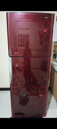 Haier refrigerator