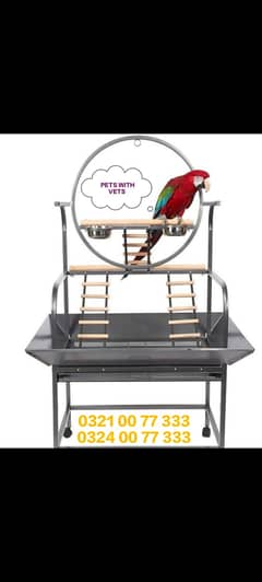 Grey | Parrot | Macaw & Cockatoo Bird Stands – Say Goodbye to Cages!