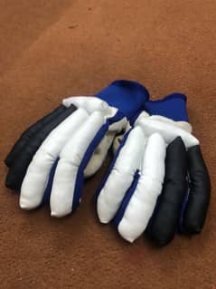 Cricket kit bag