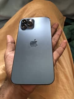 iPhone 12 Pro Max non pta