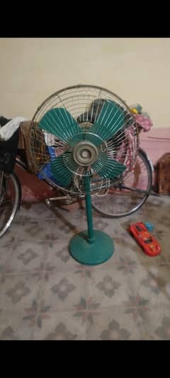 fan