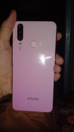 Vivo