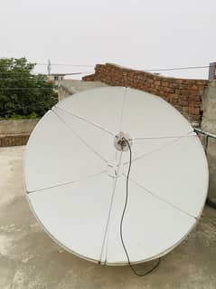 Dish