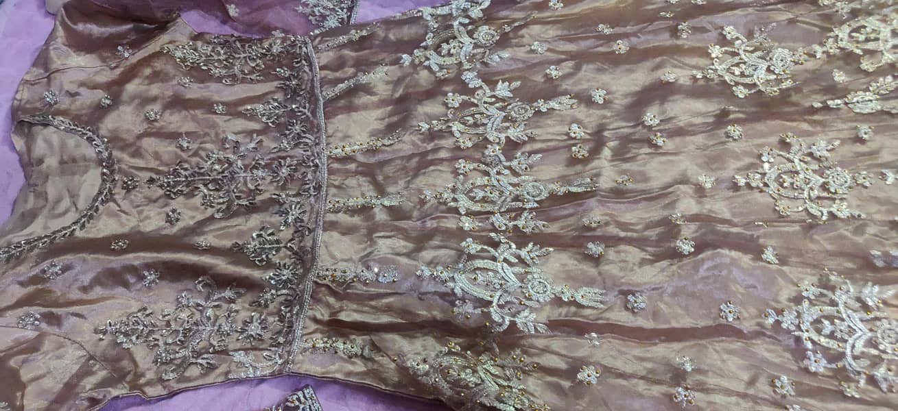 Golden maxi 2