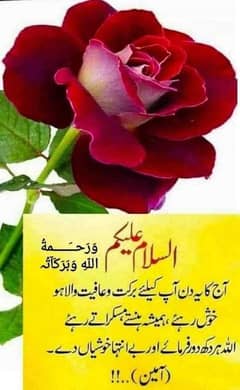 AIOU assignment writer