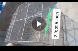 hen