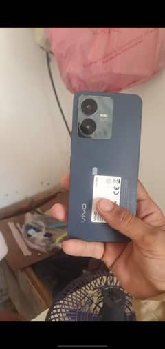vivo