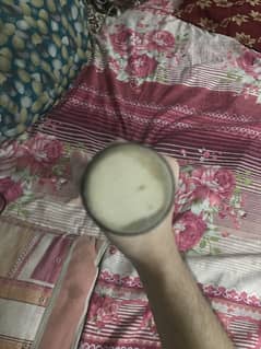 Saki bat coconut addition