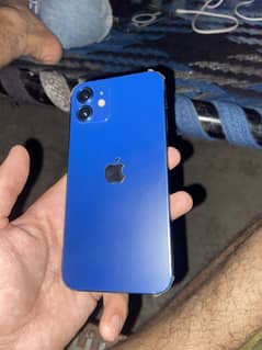 iPhone 12  128 go non