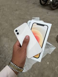 Iphone 12 pta approved