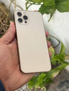 Ipone 12promax physical dual Sim PTA approve