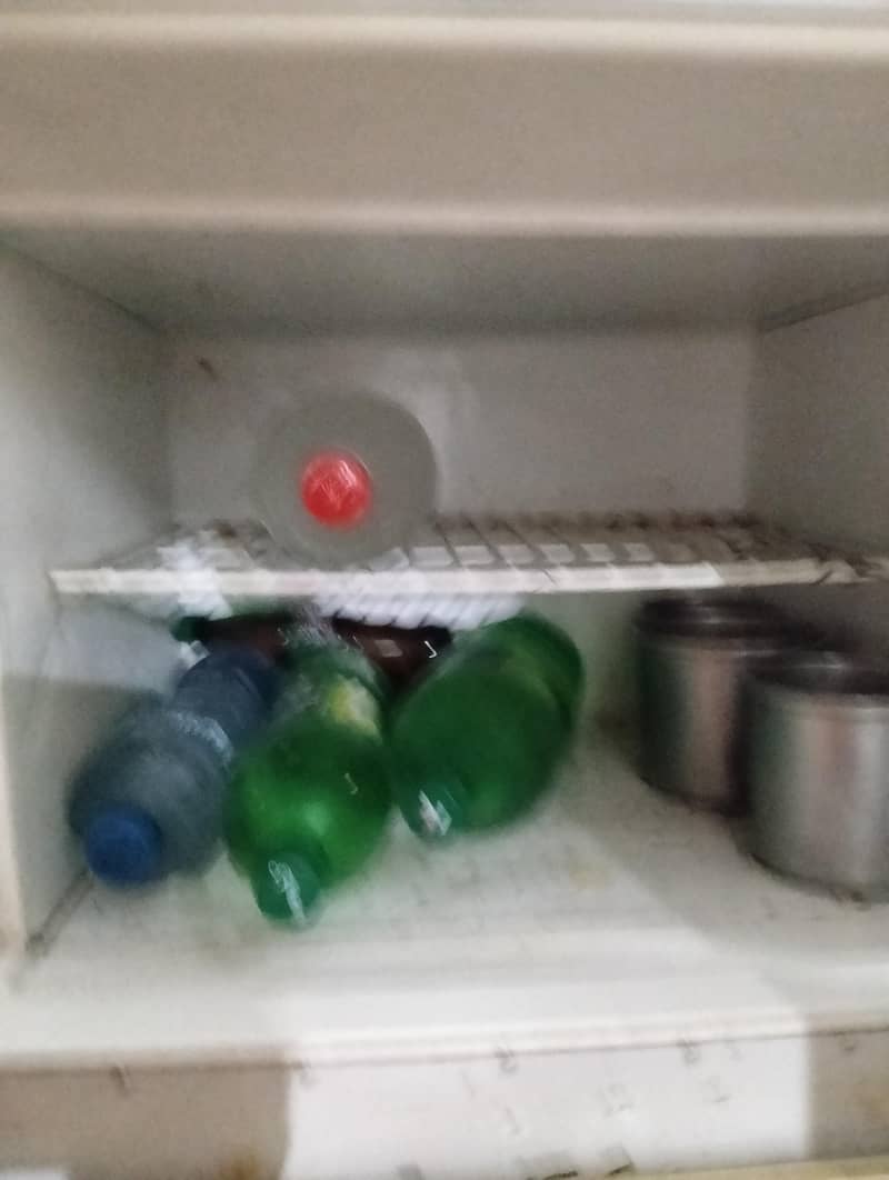 fridge 4