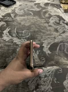 Xs