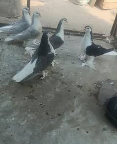 silver
