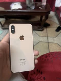 Xs