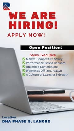 SALES EXECUTIVE