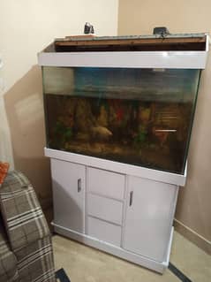Fish Aquarium