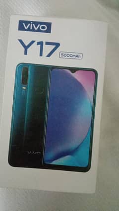 vivo y 17 8/256