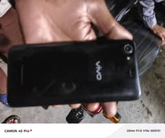 vivo