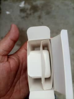 iPhone orignal charger
