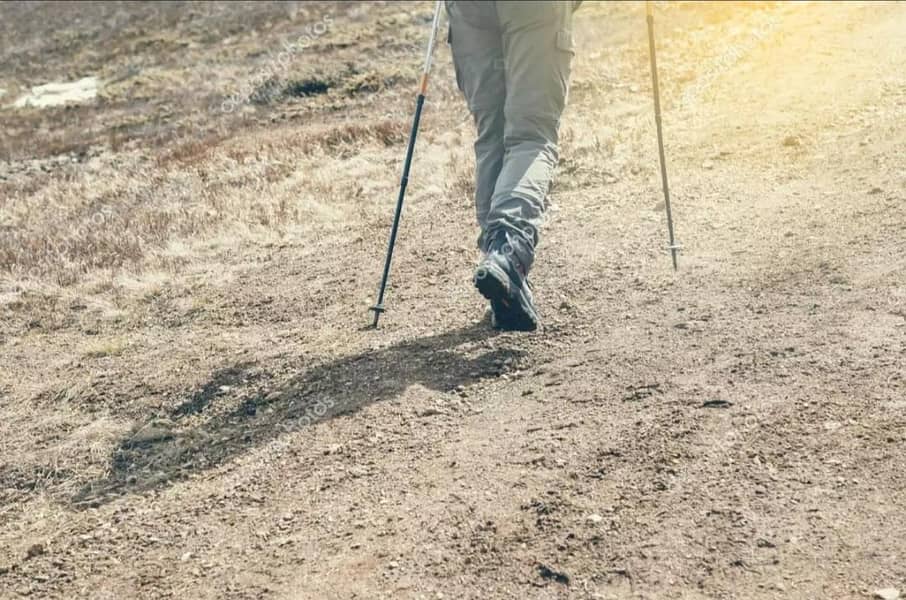 Hiking Stick 2