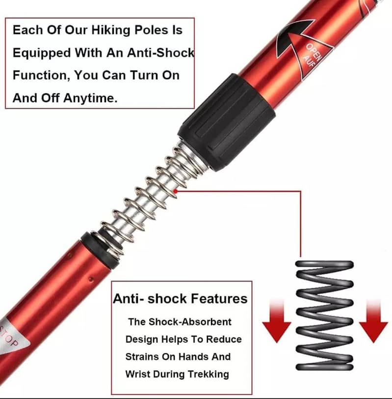Hiking Stick 3