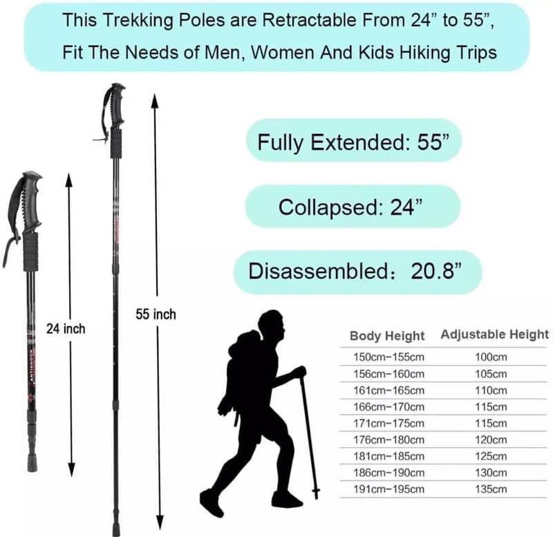 Hiking Stick 4