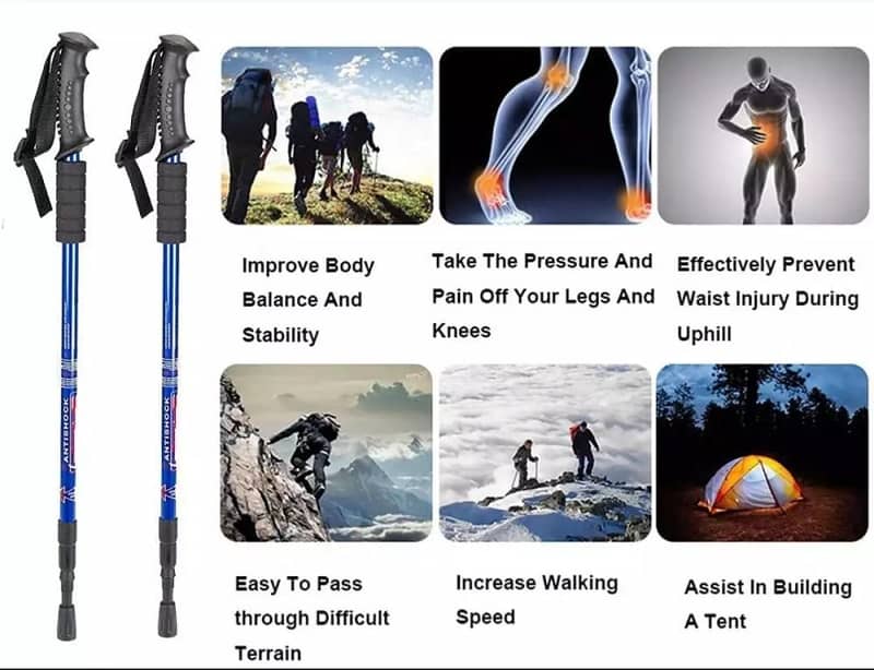 Hiking Stick 5