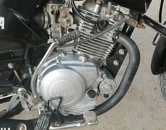 YAMAHA YBR 125