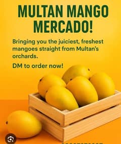 mango available