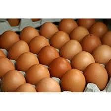 Lohman brown eggs