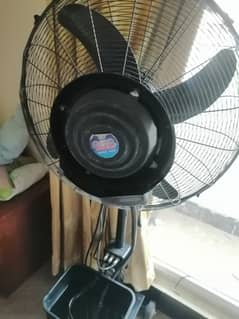 GFC