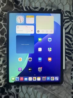 Ipad pro 1tb 5th gen celluar with apple pencil