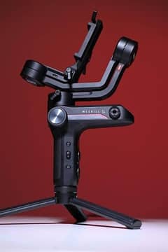 weebile S 10/9