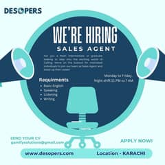 Discord Twitter Sales Agent (Chat Based) - Night Shift